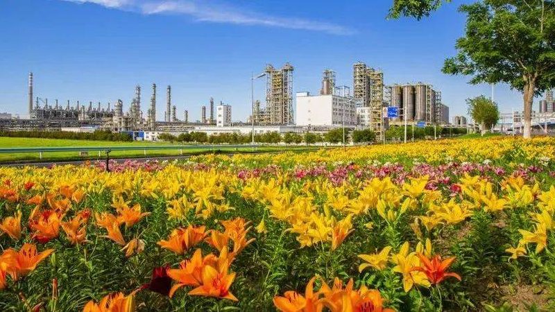 色母粒纹路改善，从源头提升塑料制品质量