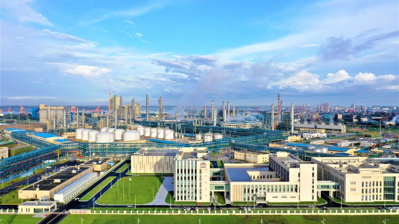 精细化工产品细分市场调研：案例分析及启示