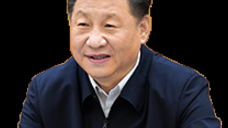 免钉胶与结构胶：性能差异与应用场景解析**
